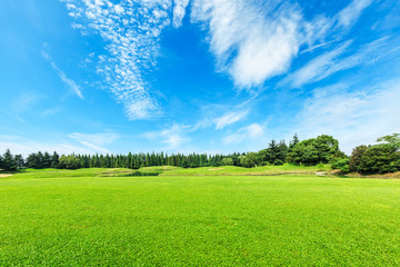 green field and blue sky