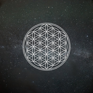 Wall Mural -  - Flower of Life