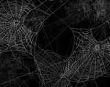 Fototapeta  - Spider web silhouette against black wall - halloween theme dark background