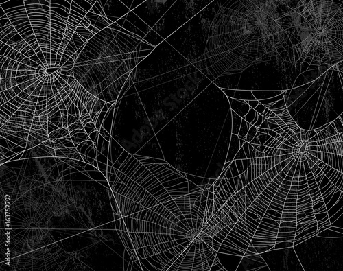 Spider web silhouette against black wall - halloween theme dark background © Cattallina