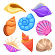 Ocean cockleshells. Cartoon sea shells vector collection