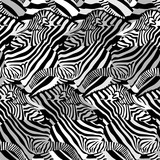Fototapeta Konie - Zebra seamless pattern.  Wild animal texture design. Striped black and white. Illustration isolated on white background.