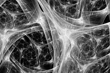 Wall Mural - Synapse system black and white intensity map