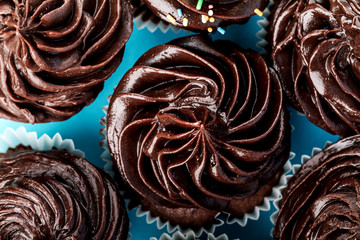 Wall Mural - Many small cute chocolate cupcakes for party or birthday on blue background. Top View.