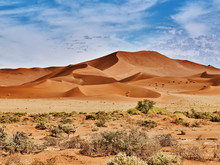 Desert Of Namib With Orange Dunes