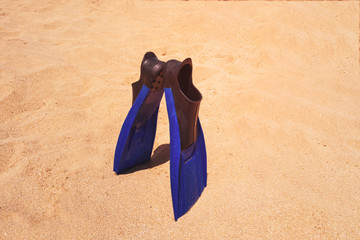 view of two fins standing on sand in the beach