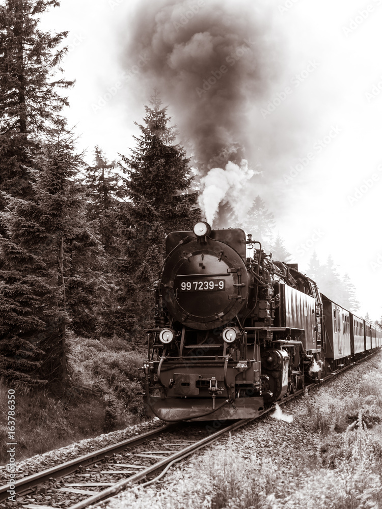 Harzer Schmalspurbahn - obrazy, fototapety, plakaty 