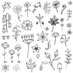 Wall Mural - Set of elements flower doodle hand drawn sketch in black line on white isolated