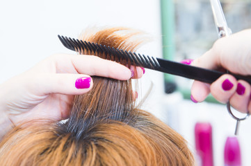 Haircut in the salon