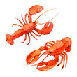 Lobsters isolated on white background, watercolor illustration