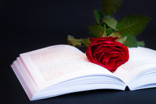Red Rose On The Book