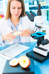 checking fruit and vegetables for harmful elements. laboratory for inspection of food quality