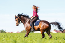 Happy Young Woman Galloping Horseback On Field And Enjoying Feeling Of Freedom
