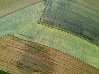 Wall Mural - Aerial view of agricultural fields