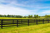 Green pastures of horse farms.