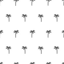 Black And White Seamless Pattern With Palm Tree. Vector Tropical Background.