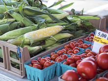 Farmers Market Corn And Tomatoes