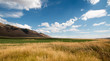 © htrnr - Alfalfa hayfield and wheat field under cumulus clouds in Wyoming U S A