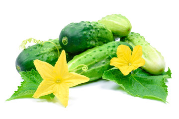 Wall Mural - Fresh and appetizing cucumbers