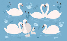 White Swan Collection On Blue Background. Singles And Swan S Pairs With Chicks. Hand Drawn Colorful Vector Illustration Set.