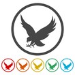Falcon bird icons set
