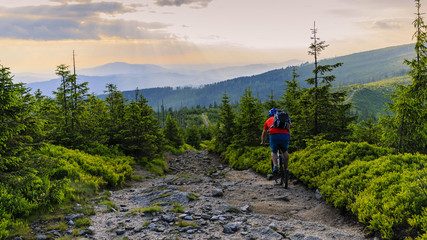 Wall Mural - Mountain biker riding on bike in summer mountains forest landscape. Man cycling MTB flow trail track. Outdoor sport activity.