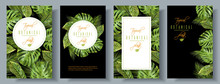 Tropical Vertical Banners Set