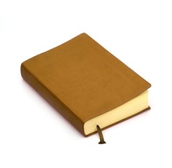 Book on white background