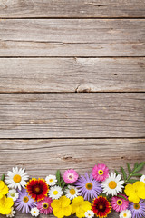 Wall Mural - Garden flowers on wood