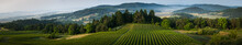 Willamette Vallley, Wine Country Panorama