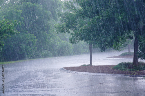 Plakat ulewny deszcz i drzewo na parkingu