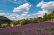© Marina - Vue sur le village Aurel en Provence, France. Champ de lavande au premier plan. Ciel bleu avec de beaux nuages.