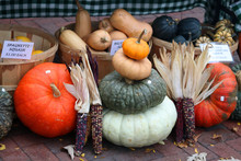 Pumpkins Display Free Stock Photo - Public Domain Pictures