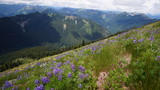 Fototapeta Natura - Exploring Washington State, The Great Pacific Northwest