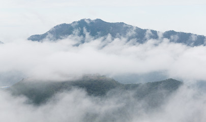 Poster - Sea of cloud in forest