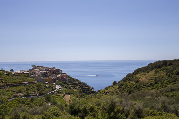 View of Corniglia village