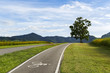 © tanarch - Scenery bicycle lane on a hill with a tree, blue sky and mountain forest background.