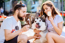 Lovely Hipster Couple Feeding Ice-cream Cute Dog On Street. Family, Pet, Animal And People Concept.