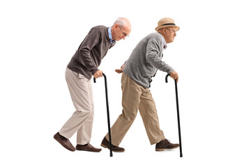 Canvas Print - Two elderly men with canes walking