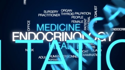 Wall Mural - Endocrinology animated word cloud, text design animation.