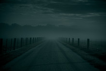 Foggy Road At Night
