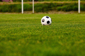  Soccer ball on the grass before the game