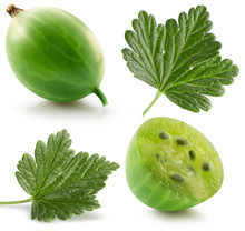 Set Of Gooseberries With Leaf Isolated On A White Background