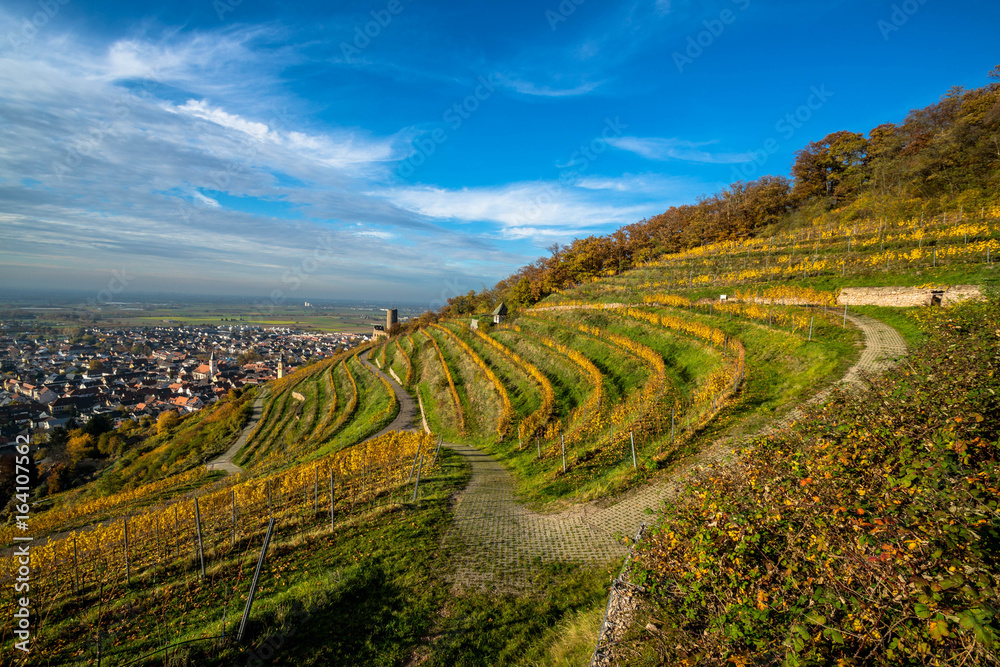 Weinterrassen und Dorf in herbstlicher Landschaft