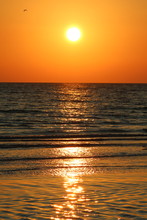 Orange Sunset (vertical), Siesta Key, Florida
