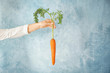 Female hand holding carrot on colour background