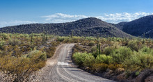 Blue Sky Copy Space And Winding Road Near Pinkley Peak In Organ Pipe Cactus National Monument In Ajo, Arizona, USA Including A Large Assortment Of Desert Plants, Which Is A Short Drive West Of Tucson