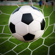 © ohmega1982 - Soccer football in Goal net with green grass field.