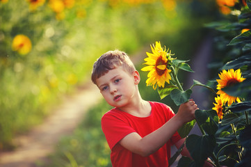 Wall Mural - cheerful child playing in a field of sunflowers