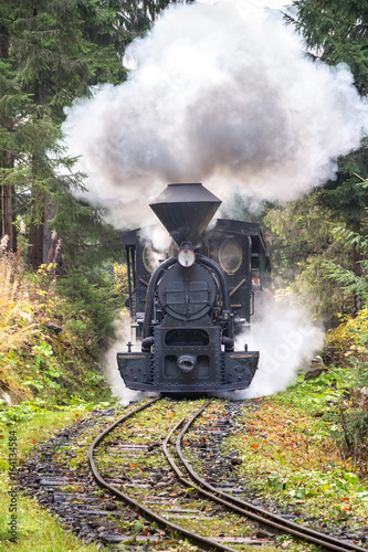 Fotomural Steam locomotive in forest railways in museum of Kysuce village, Slovakia, Europ